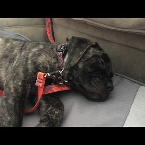 Meet your Posher, Michelle